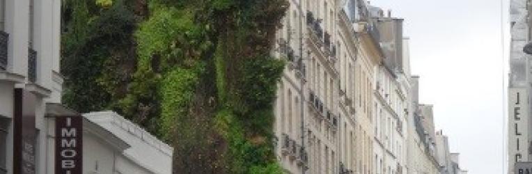Jardin vertical Patrick Blanc, Paris (source: Eisenberg)