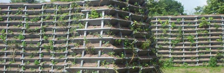  Barrera acústica vegetal como muro vivo independiente (fuente: www.lueft.de)
