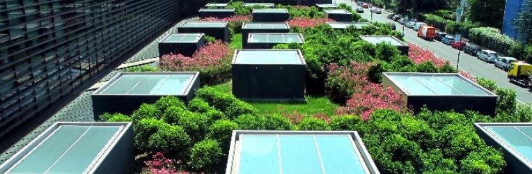Intensive green roof (source: LAND; https://www.landsrl.com/)