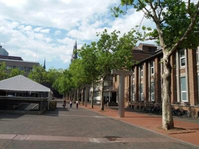 Una sola línea de árboles en la plaza del ayuntamiento, Eindhoven