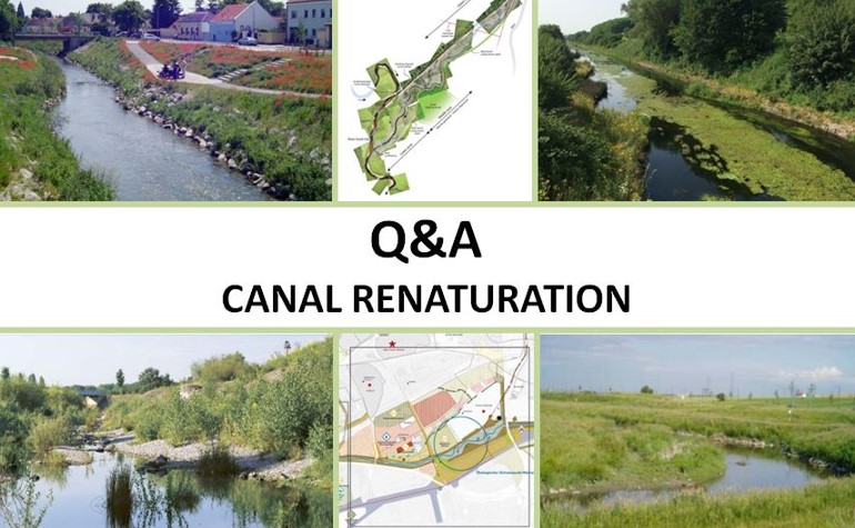 Canal Renaturation