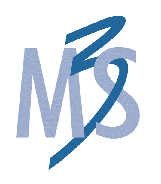 M3S Logo