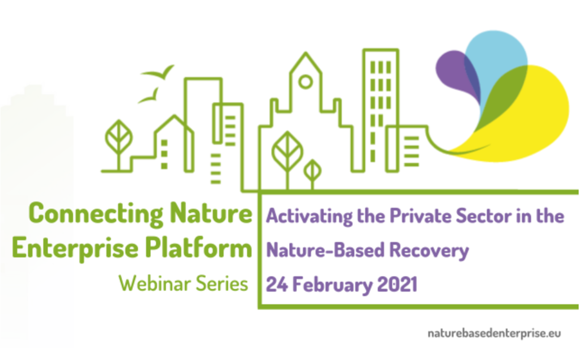 Connecting Nature Webinar