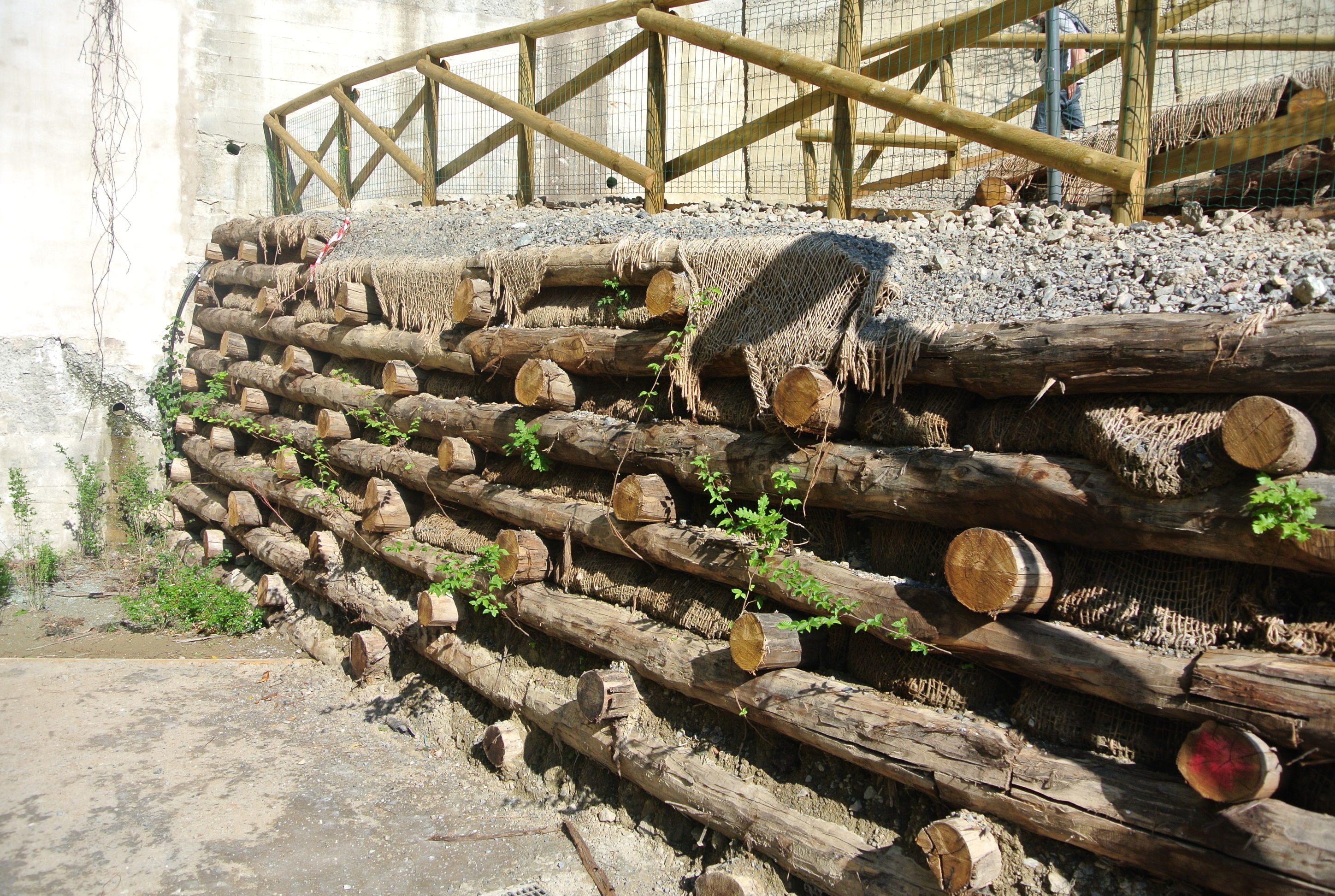 Log crib walls, Gavoglio