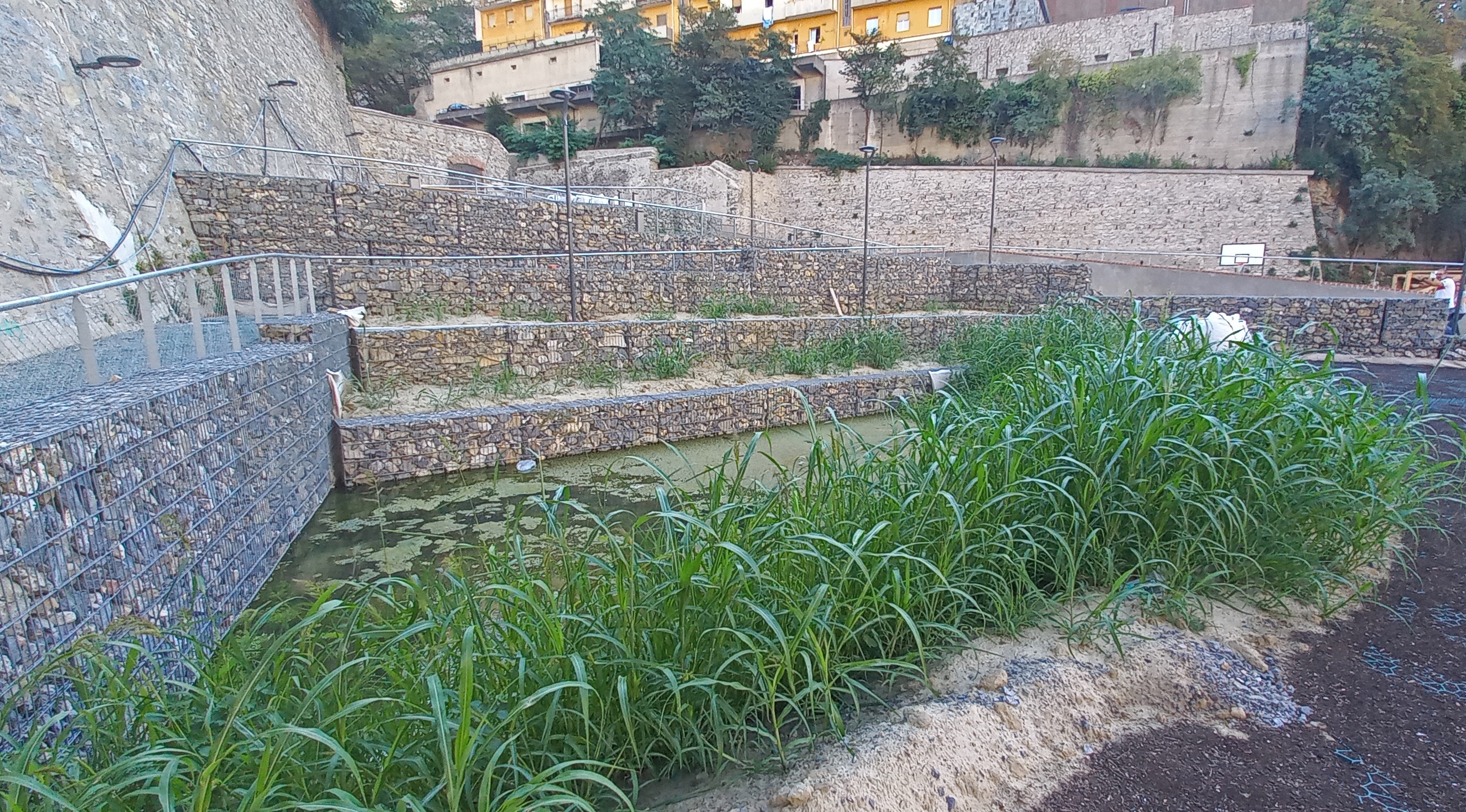 Raingarden, Gavoglio park