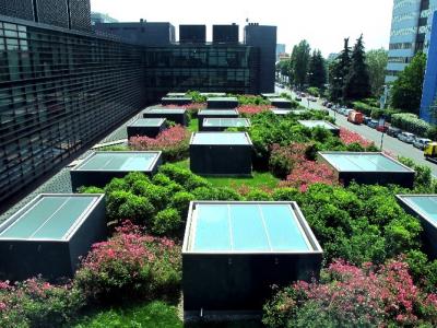 Intensive green roof (source: LAND; https://www.landsrl.com/)