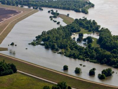 Example of a setback levee